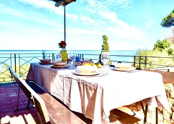 Sant'ambrogio's 切法卢